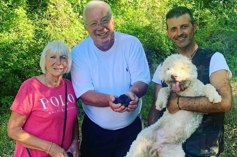 Alessandro's Lagotto Romagnolo dog sniffing for truffles near Porta Romana on a truffle hunting tour in Siena, Tuscany